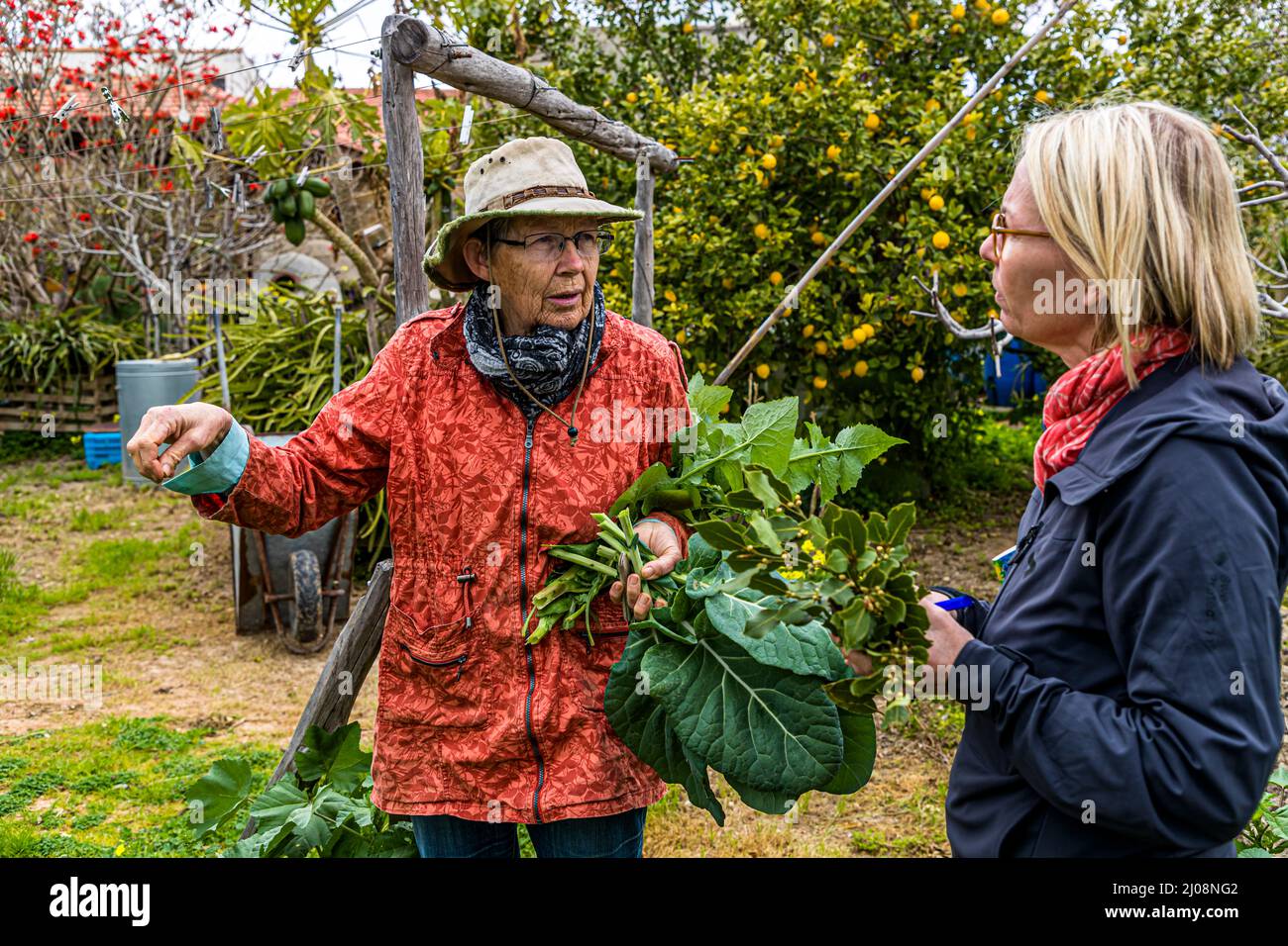 Büyükkonuk Foto Stock