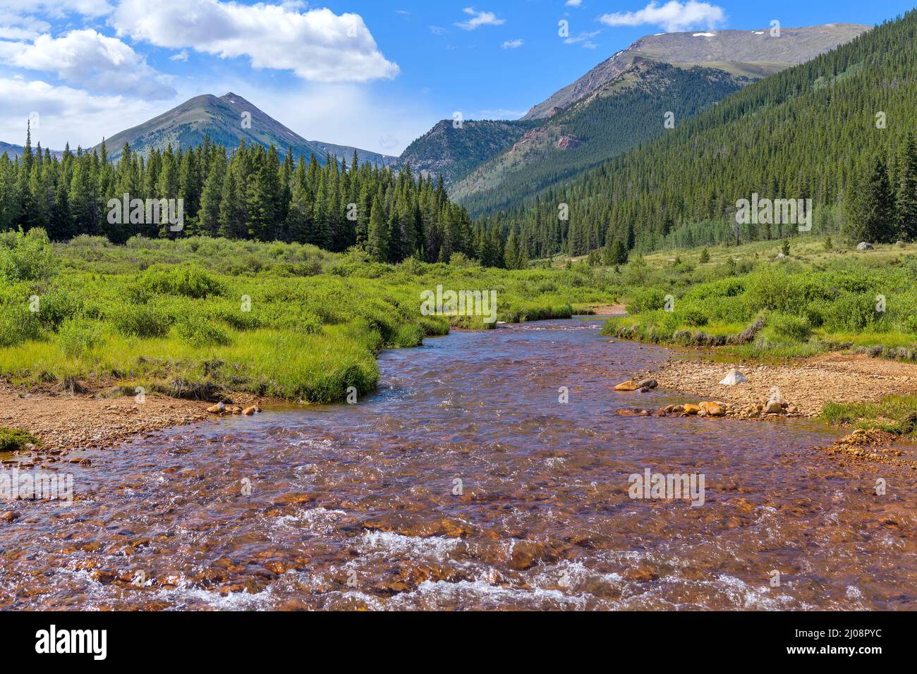 Summer Mountain Creek - Ginevra Creek ricco di minerali che corre in una lussureggiante valle verde alla base di alte cime di Continental divide, Grant, Colorado, Stati Uniti. Foto Stock