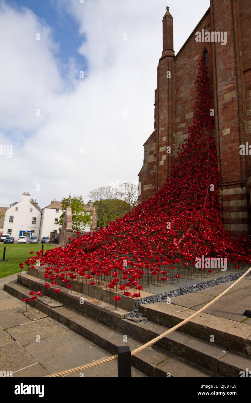 Monumento ai papavero rossi alla Cattedrale di San Magnus Foto Stock