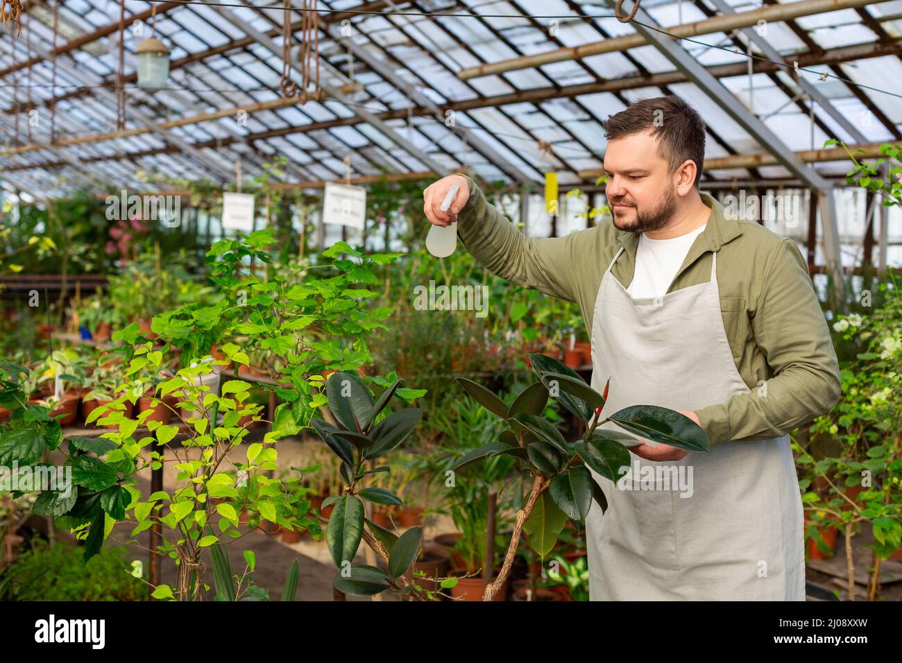 Giovane uomo sorridente che innaffia fiori in una serra. Concetto di hobby ecologico. Foto Stock
