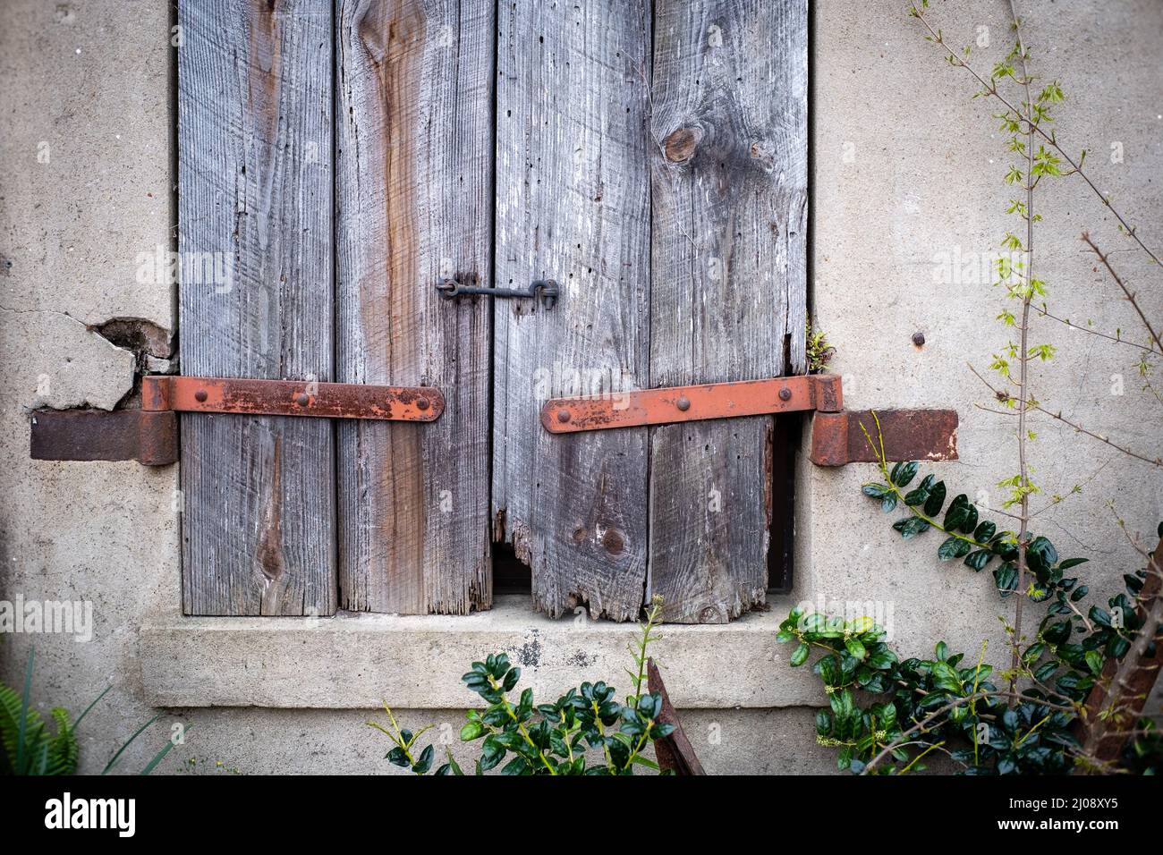 Mescolatori in legno Vinatge con cerniere in ferro arrugginito e pareti in stucco. Foto Stock