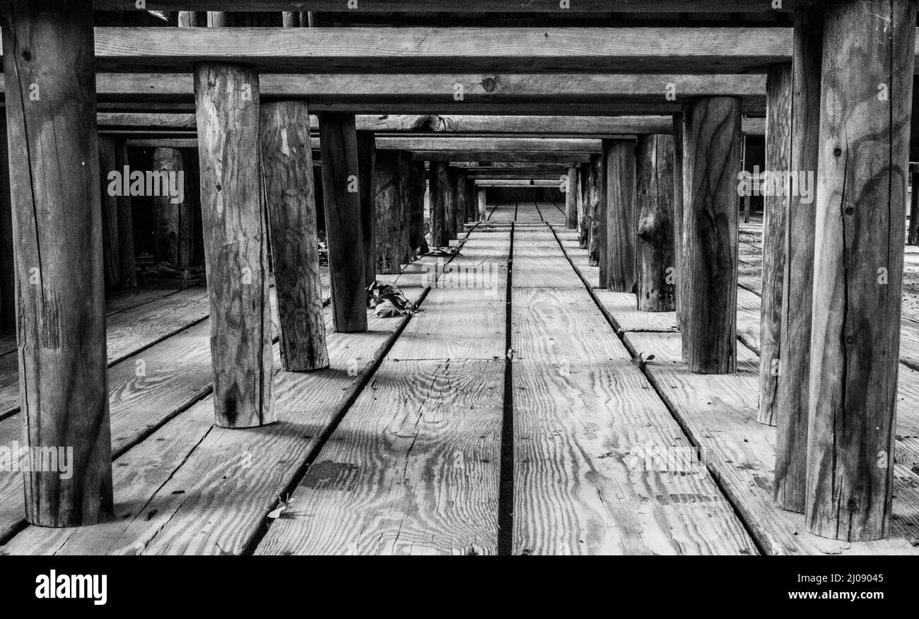 Scala di grigi di vecchi tronchi di legno sulle tavole di legno Foto Stock