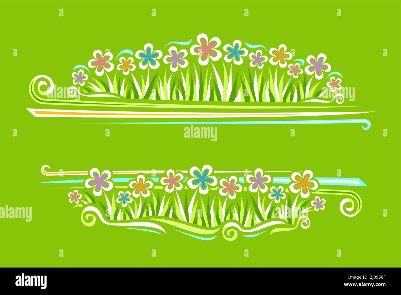 Bordo vettoriale per fiori selvatici con copyspace per testo, poster orizzontale con illustrazione di crisantemi semplici, cartoon gerber fiori su erba Illustrazione Vettoriale