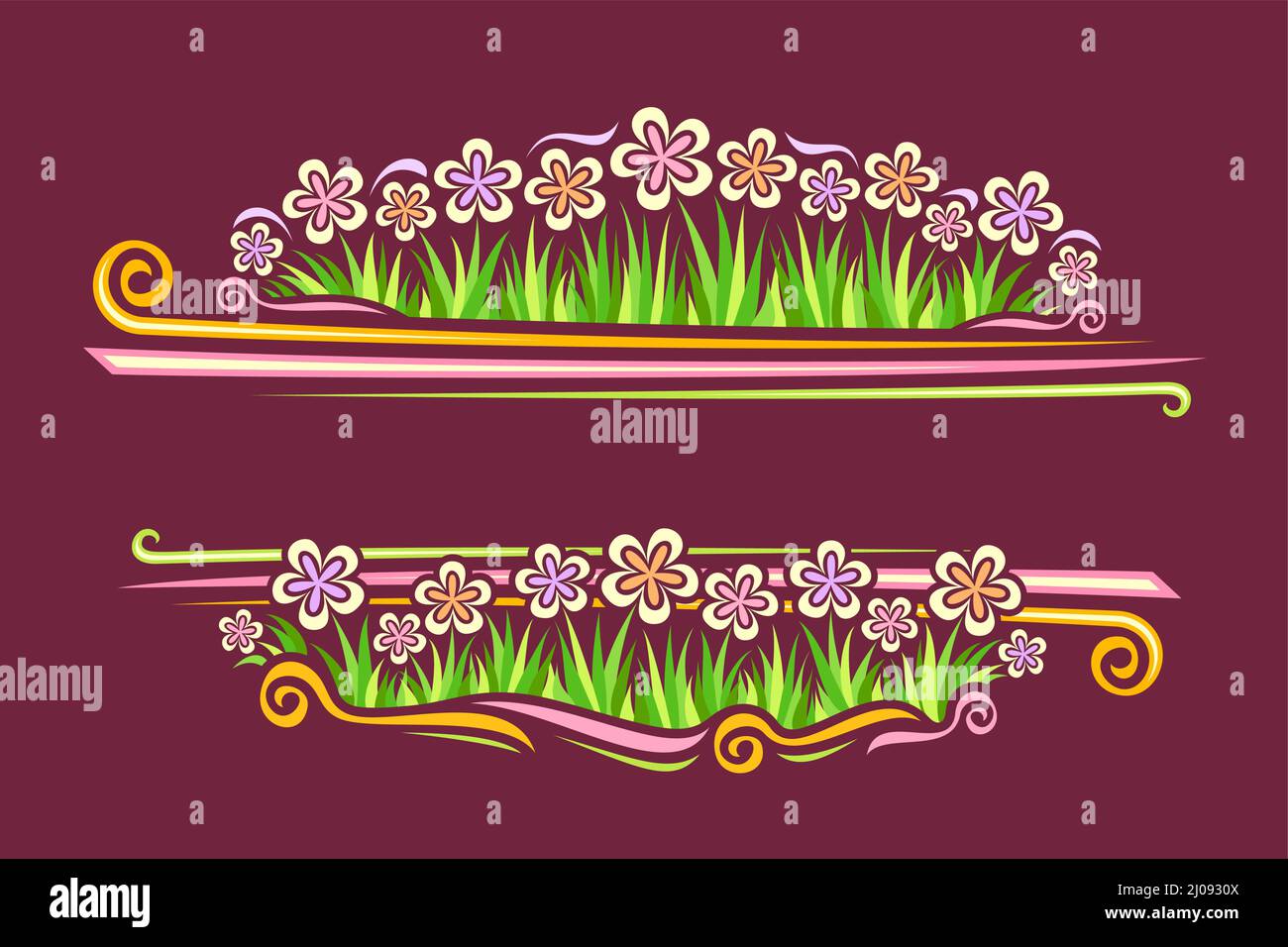 Bordo vettoriale per fiori selvatici con copyspace per testo, coupon orizzontale con illustrazione di semplici crisantemi e cartoni animati gerber fiori sul gra Illustrazione Vettoriale