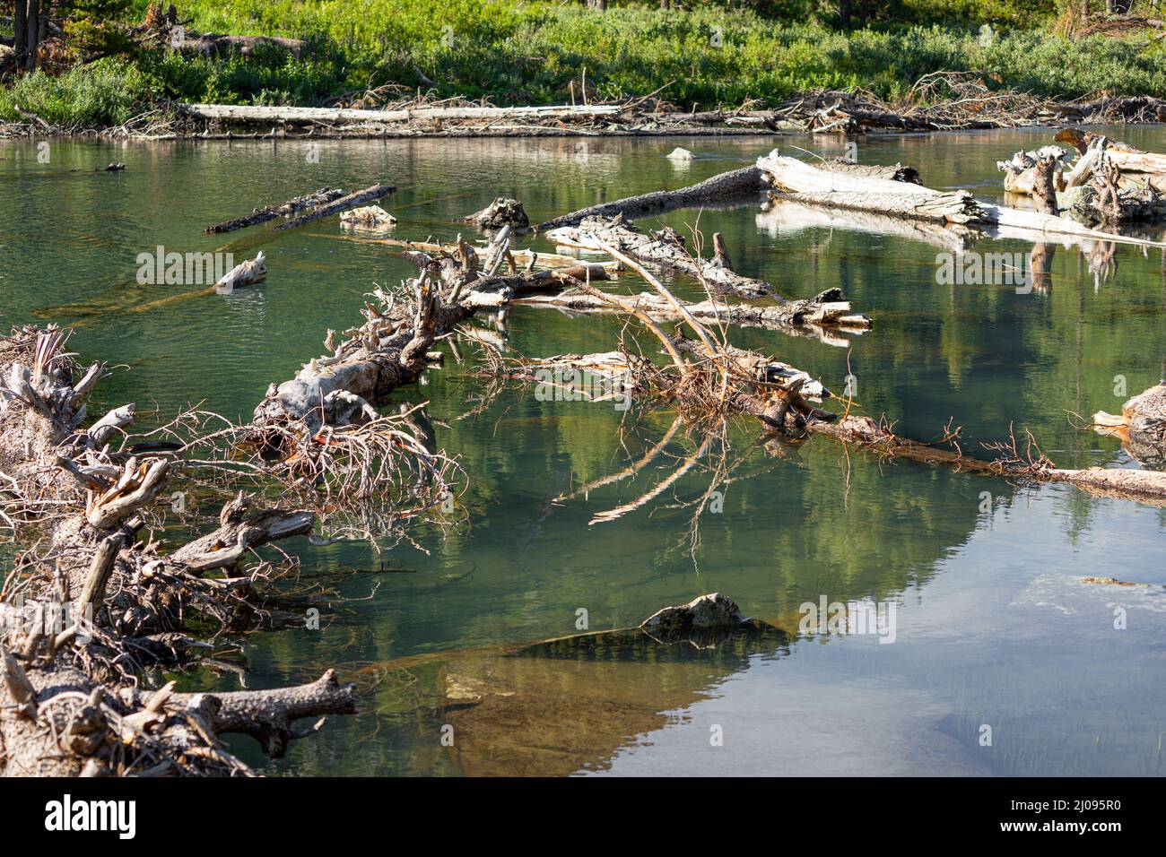 i tronchi formarono una marmellata su un fiume di montagna Foto Stock