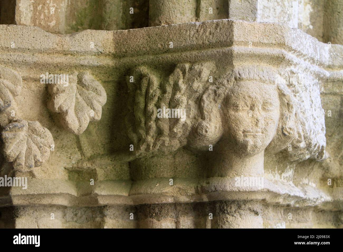 Ange. Chapiteaux du Cloître. Abbaye de Noirlac. Bruère Allichamps. Cher. Centro. Francia. Foto Stock