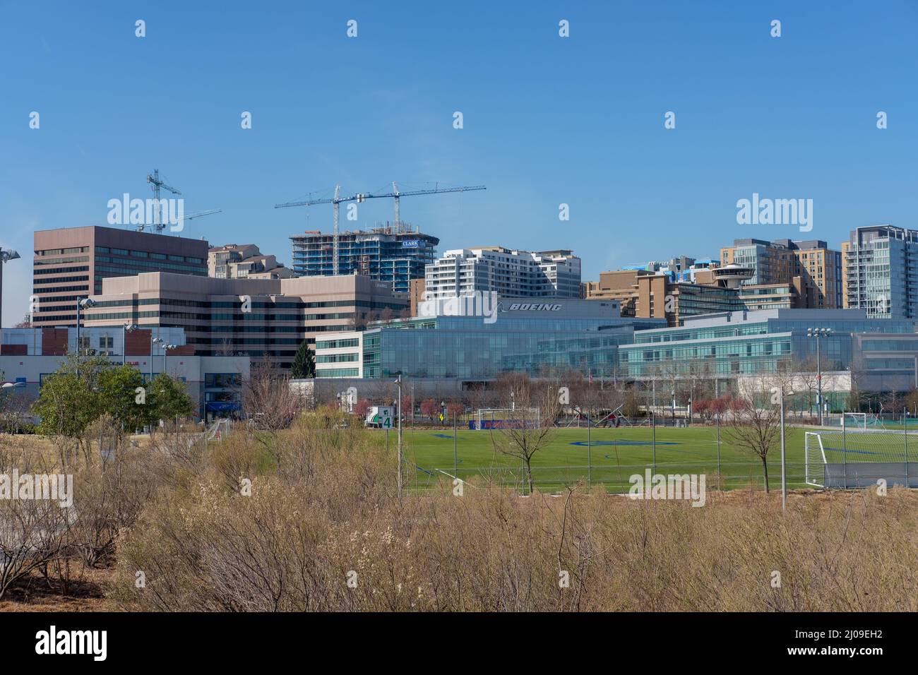 Crystal City Skyline, Arlington, VA, USA Foto Stock