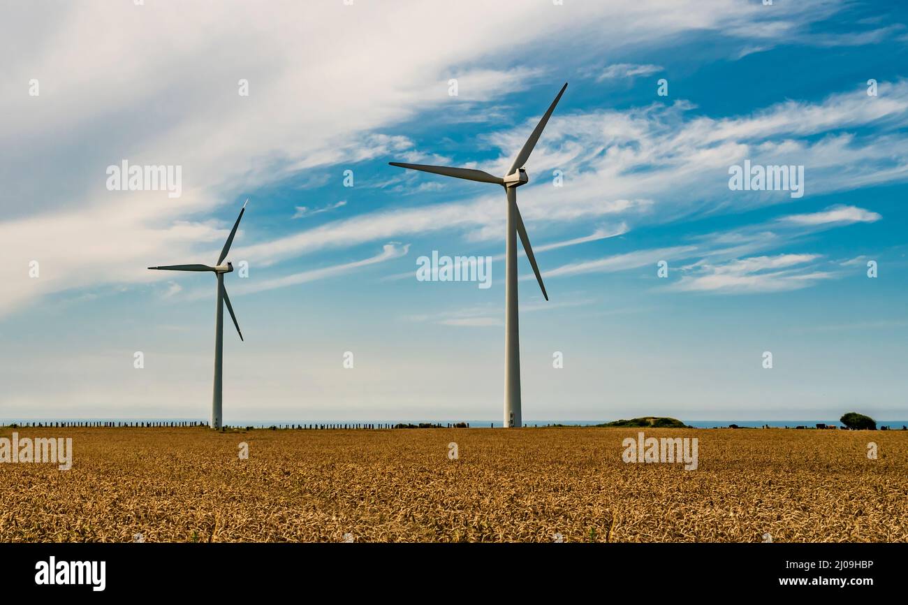 Turbine eoliche in campo di grano che generano energia pulita e rinnovabile Foto Stock