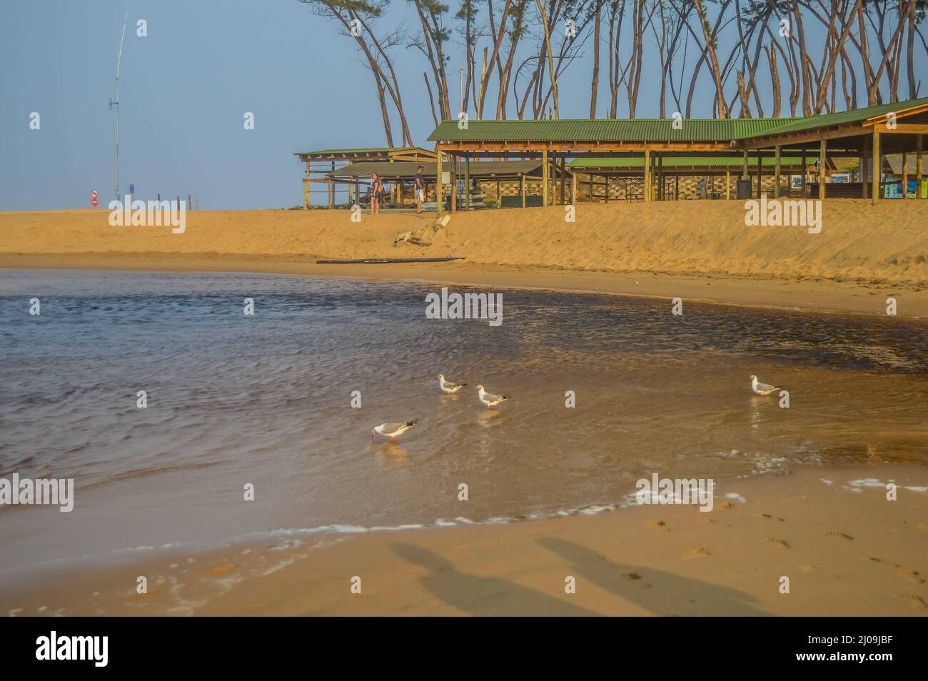 Paesaggio della spiaggia della baia di Sodwana a Isimandaliso in Africa del Sud Foto Stock