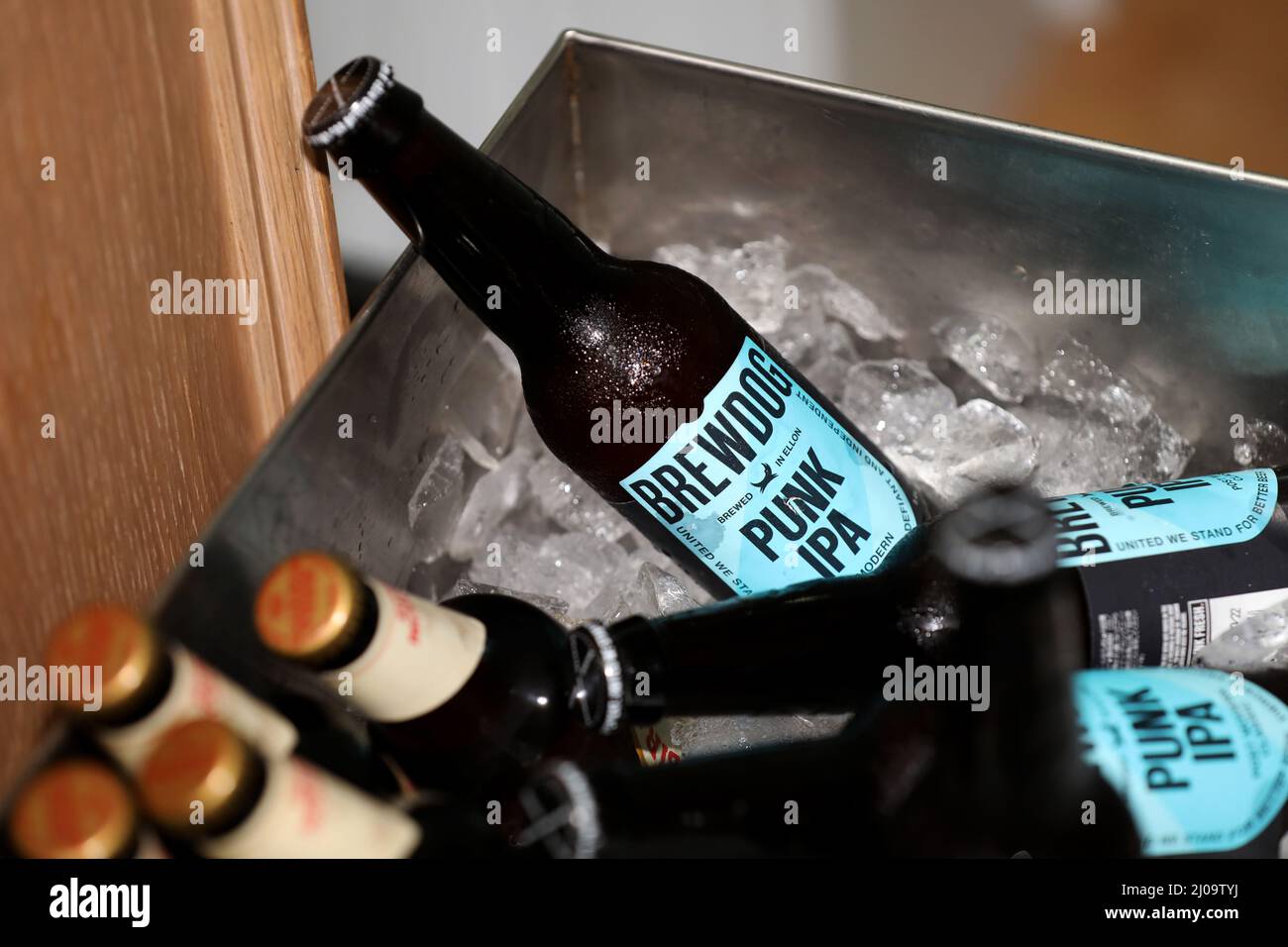 Bottiglie di BrewDog, Punk IPA raffigurato in un secchio di ghiaccio in un hotel a Londra, Regno Unito. Foto Stock