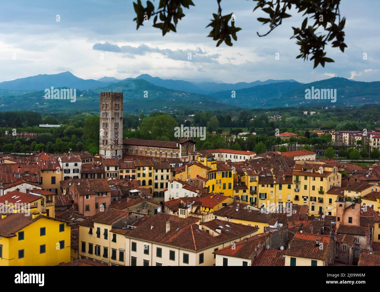 Vista di Lucca dominata dalla torre della Basilica di San Frediano, Provincia di Lucca, Regione Toscana, Italia Foto Stock