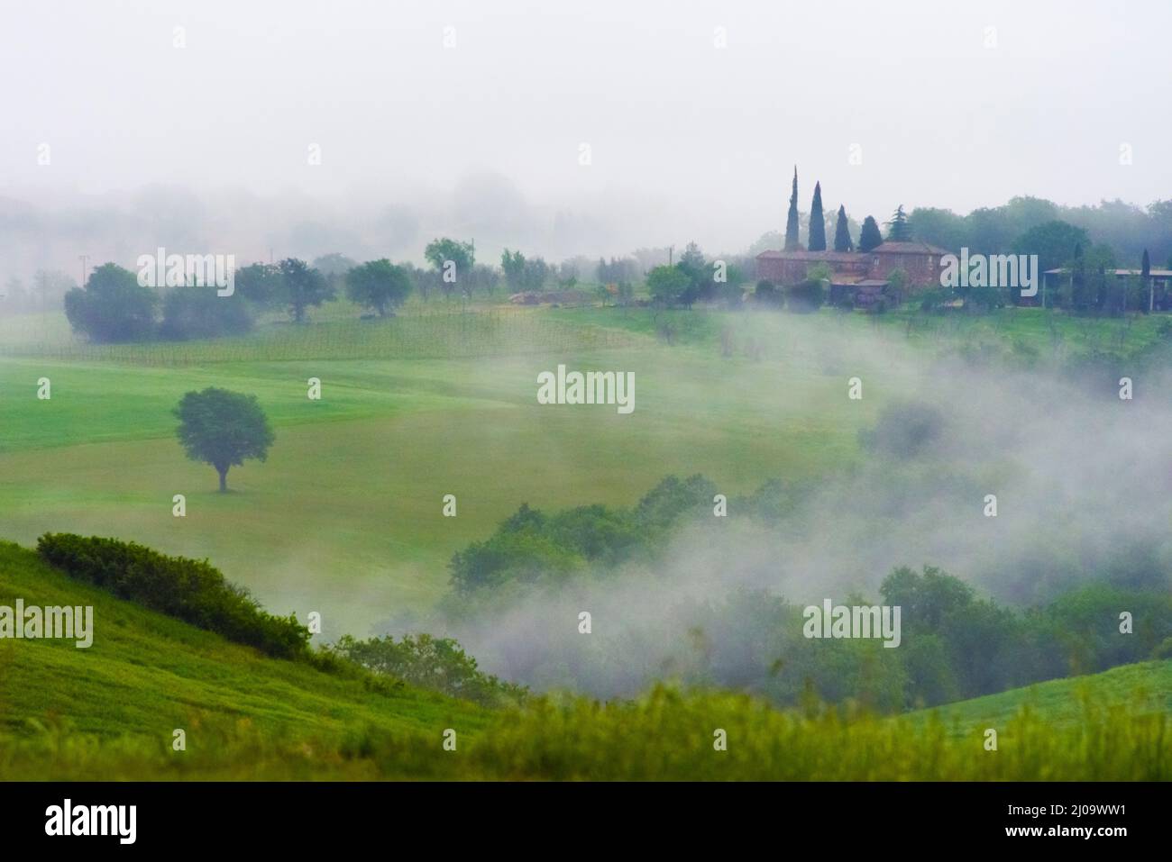 Villaggio sul prato in nebbia mattutina, Val d'Orcia, Provincia di Siena, Regione Toscana, Italia Foto Stock