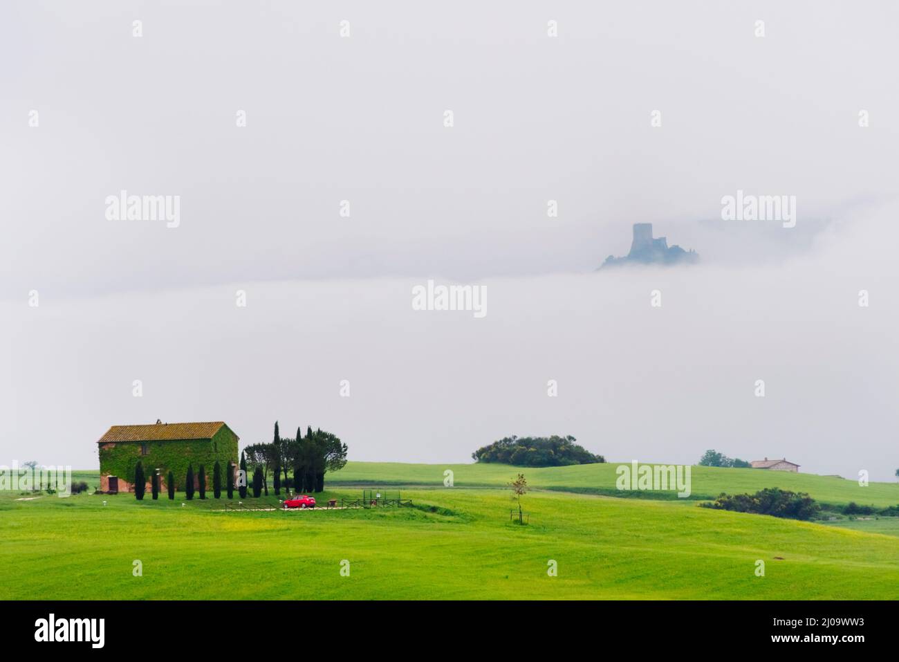 Casa di paese sul prato in nebbia mattutina, Val d'Orcia, Provincia di Siena, Regione Toscana, Italia Foto Stock