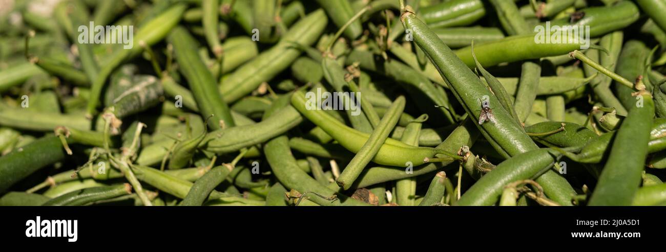 Fagioli verdi fondo alimentare Foto Stock