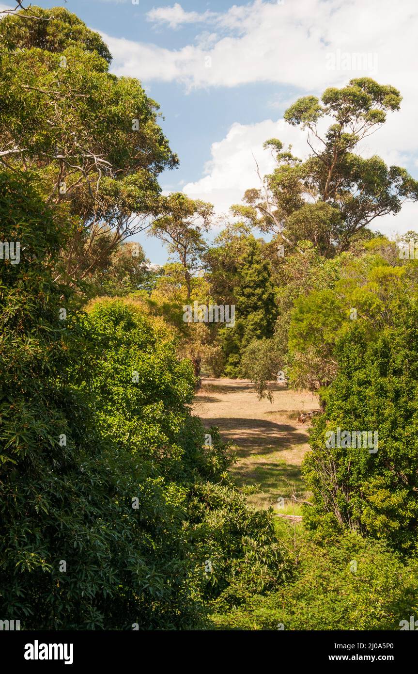 Inaugurato nel 1917, il Wattle Park di Melbourne è un parco di 55 ettari al capolinea di una linea tranviaria suburbana orientale. Foto Stock