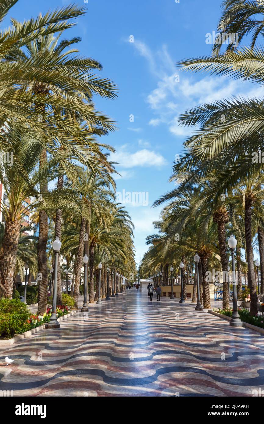 Alicante Alacant città città boulevard Esplanada d'Espanya con palme viaggio vacanze vacanza ritratto formato in Spagna Foto Stock