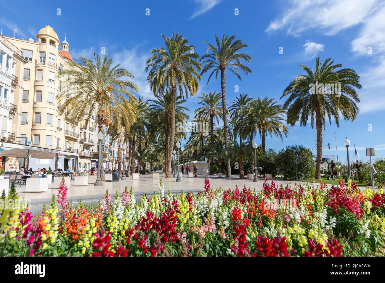 Alicante Alacant città palme boulevard Esplanada d'Espanya viaggio vacanze in Spagna Foto Stock