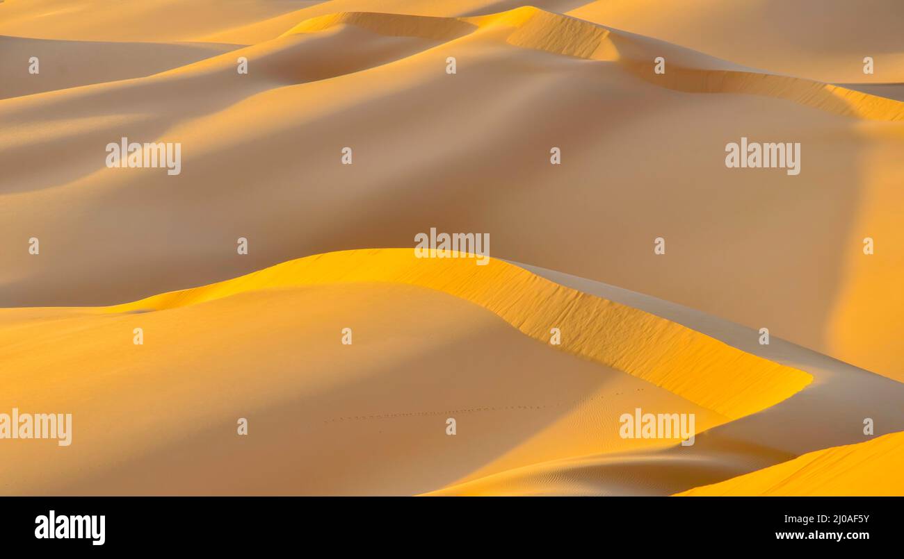 Dune di sabbia dorate nel deserto del Sahara Foto Stock