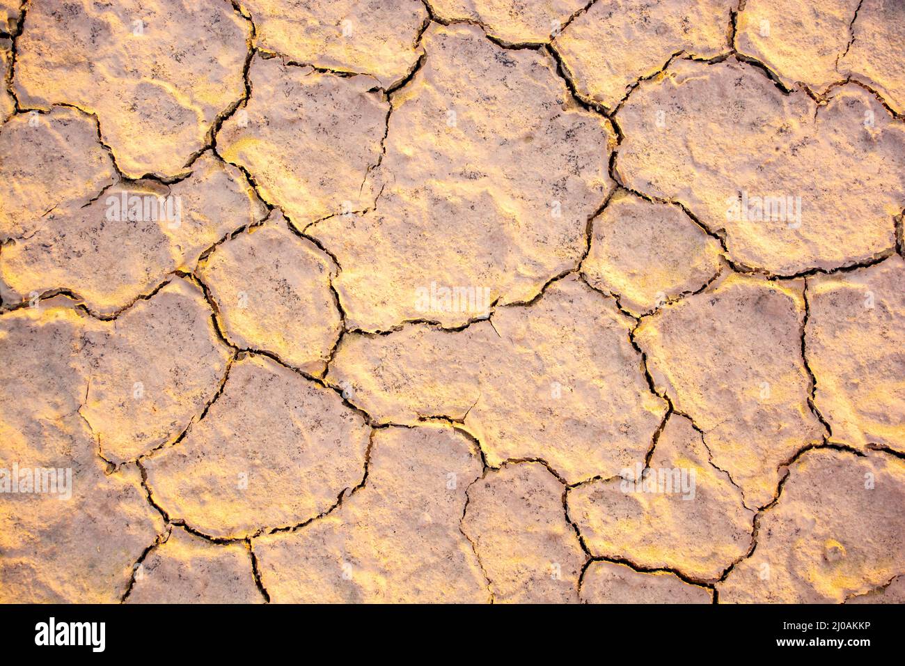 Incrinature secche del lago dovute alla lunga siccità nel deserto di Thar Foto Stock