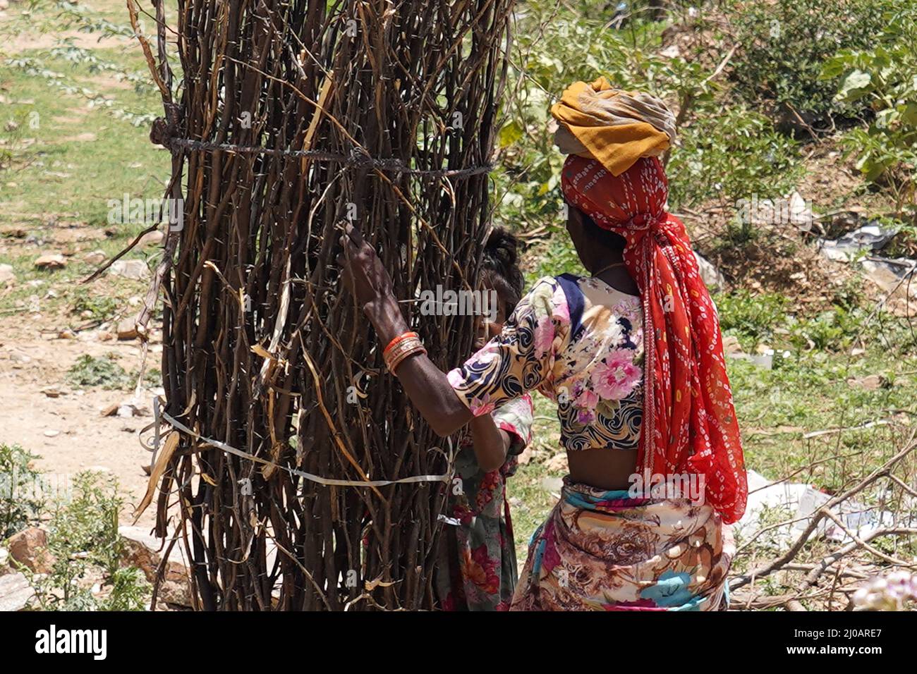 Un villager rurale della zona porta boschi di fuoco come lei torna a casa dopo la raccolta dalle sue foreste vicine per usarlo come le famiglie di carburante cottura appena periferia di Ajmer, Rajasthan, India il 24 maggio 2021. Foto di ABACAPRESS.COM Foto Stock