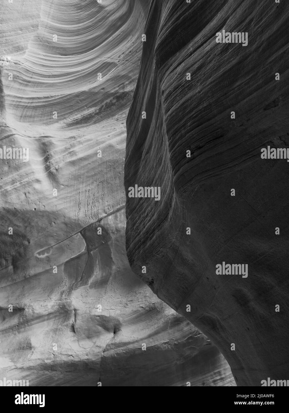 Antilope in canyon bianco e nero Foto Stock