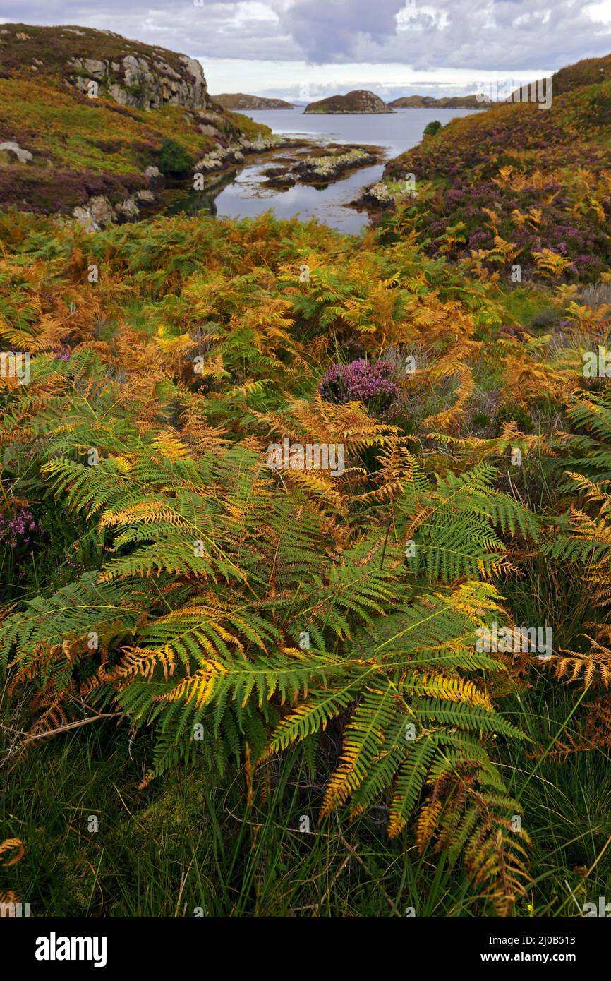 Paesaggio costiero, South Uist, Ebridi esterne, Scotl Foto Stock