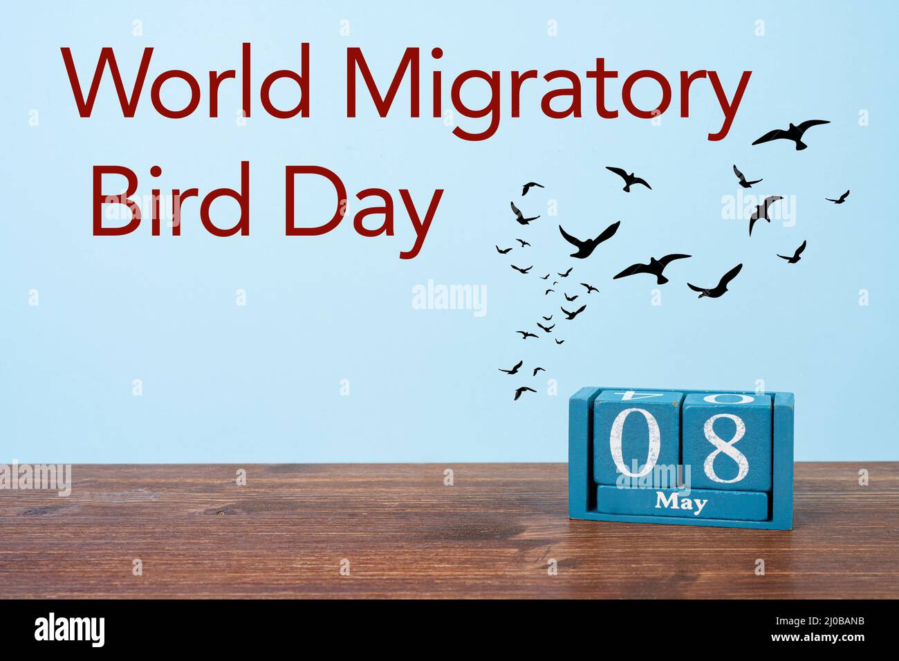 La celebrazione della Giornata Mondiale degli Uccelli migratori il 8 maggio Foto Stock
