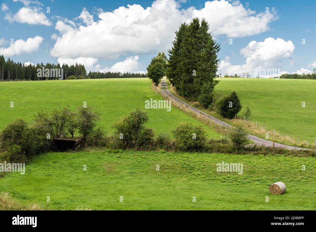 Paesaggi naturali con verdi colline boschive durante l'estate nella campagna del Belgio orientale intorno a Bullingen, Belgio Foto Stock