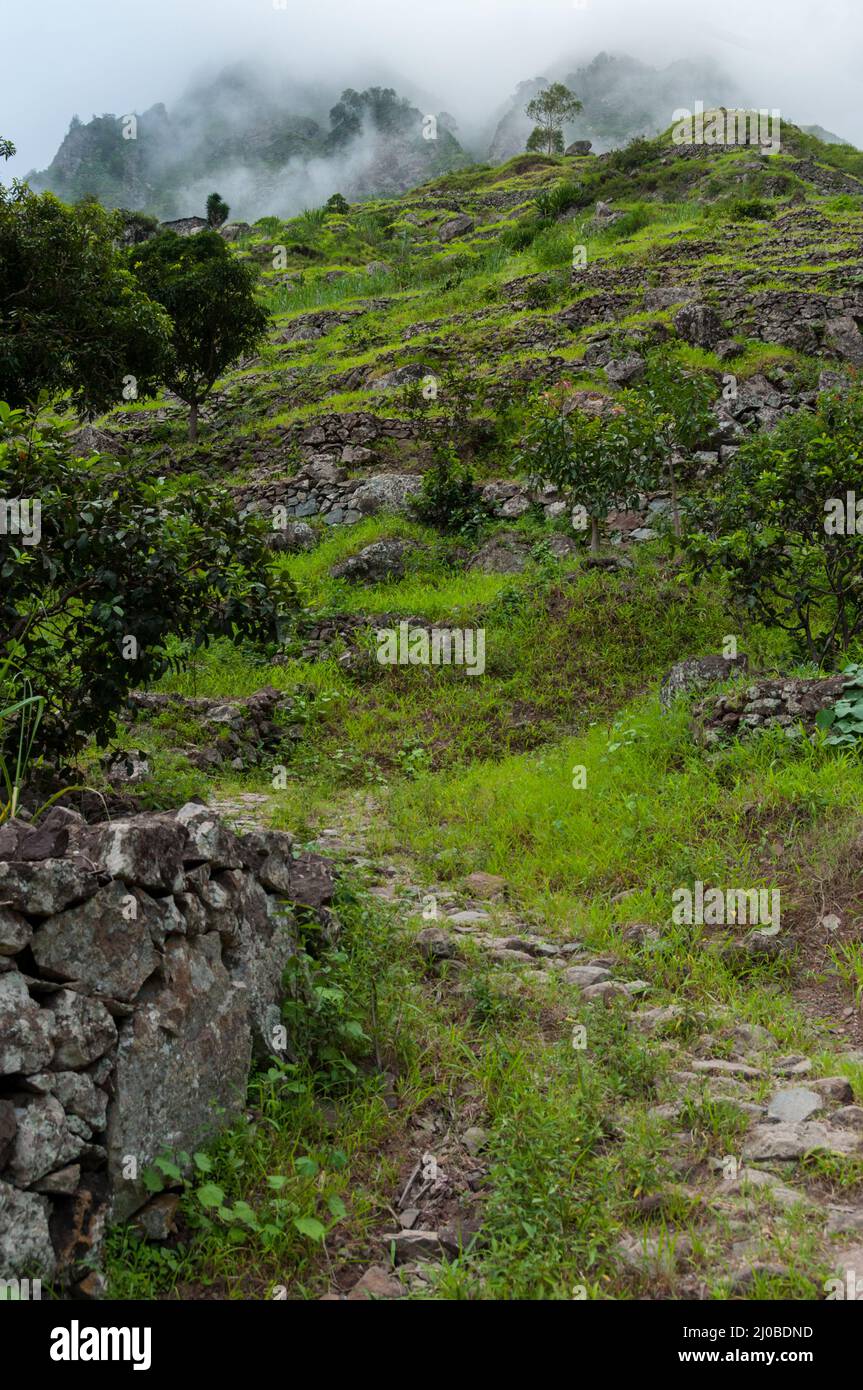 Verde umido e sentiero rurale che conduce in montagna con le nuvole Foto Stock