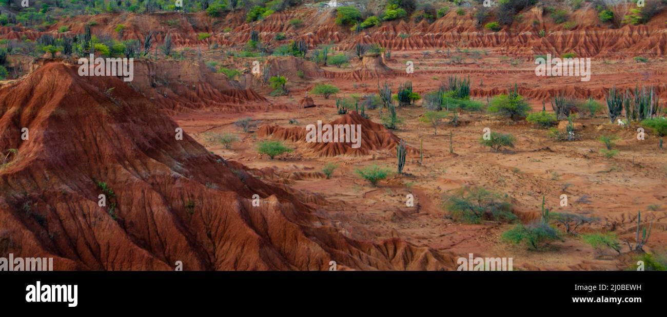 Grande di sabbia rossa collina in pietra a secco di caldo deserto tatacoa con piante, huila Foto Stock