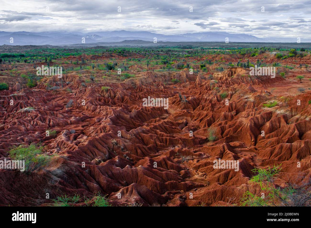 Panoramica di sabbia rossa la formazione di pietra di Tatacoa desert in Huila Foto Stock