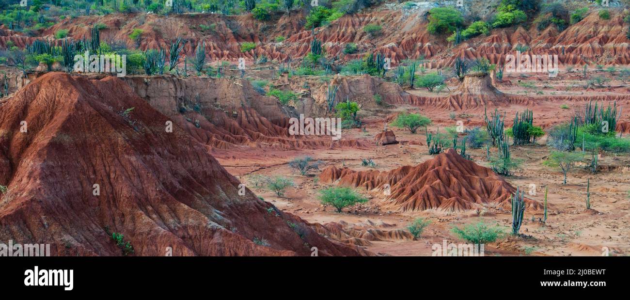 Grande di sabbia rossa collina in pietra a secco di caldo deserto tatacoa con piante, huila Foto Stock
