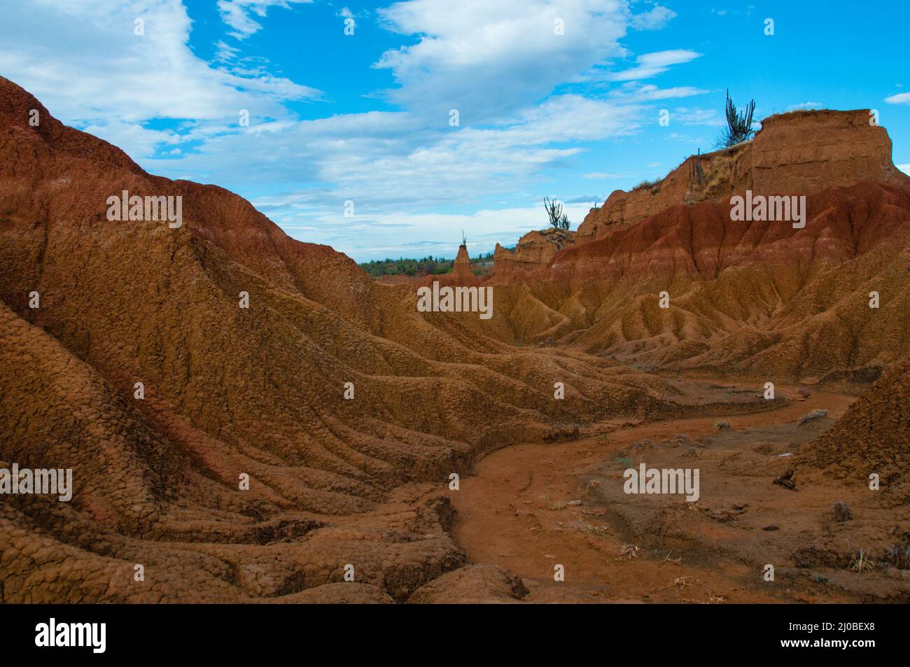 Siccità valle di arenaria rossa e la formazione di roccia nel caldo secco del deserto di Tatacoa, Huila Foto Stock