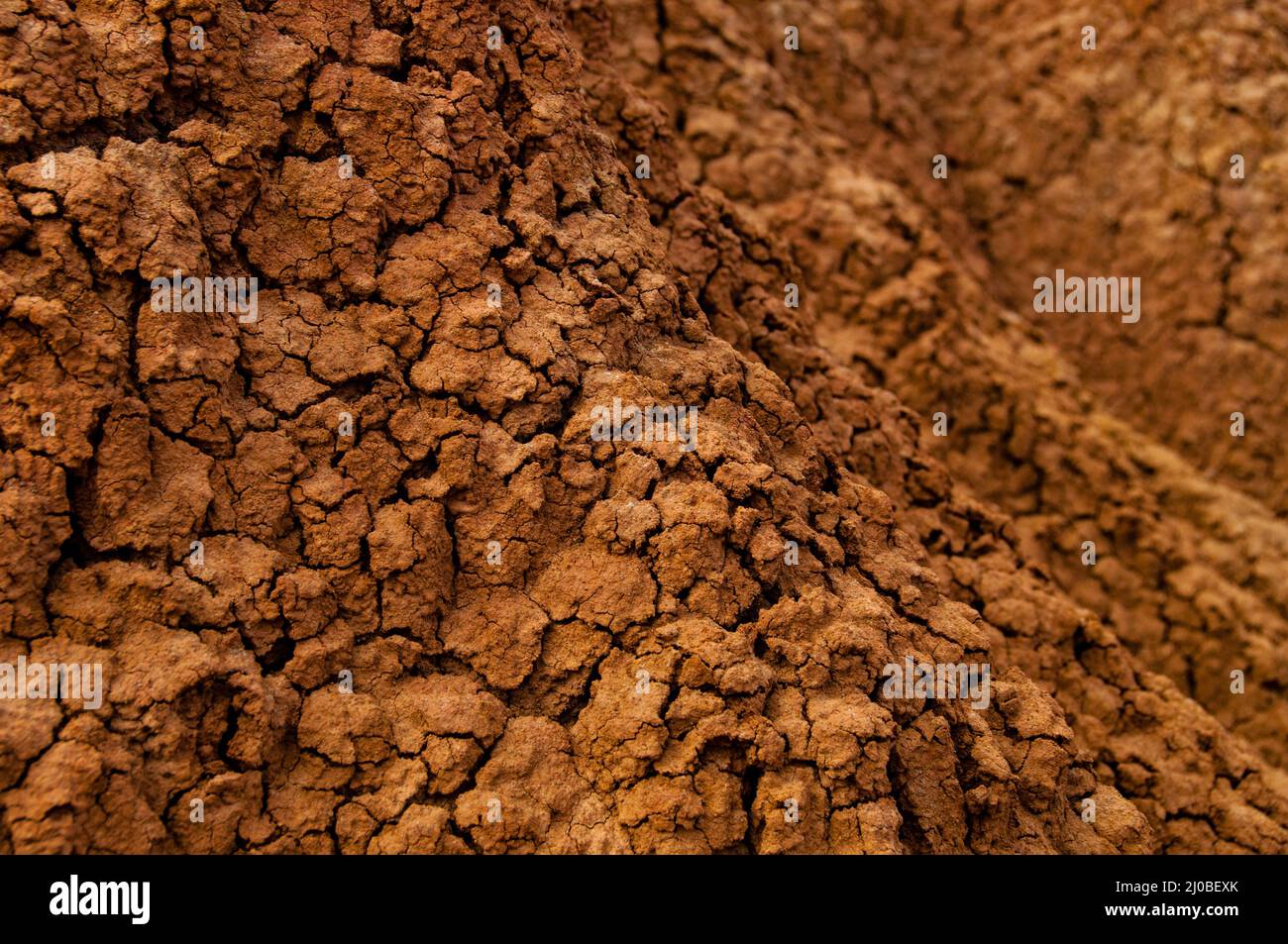 Primo piano della siccità rosso arancio pietra arenaria rock formazione nel deserto di Tatacoa, Huila Foto Stock
