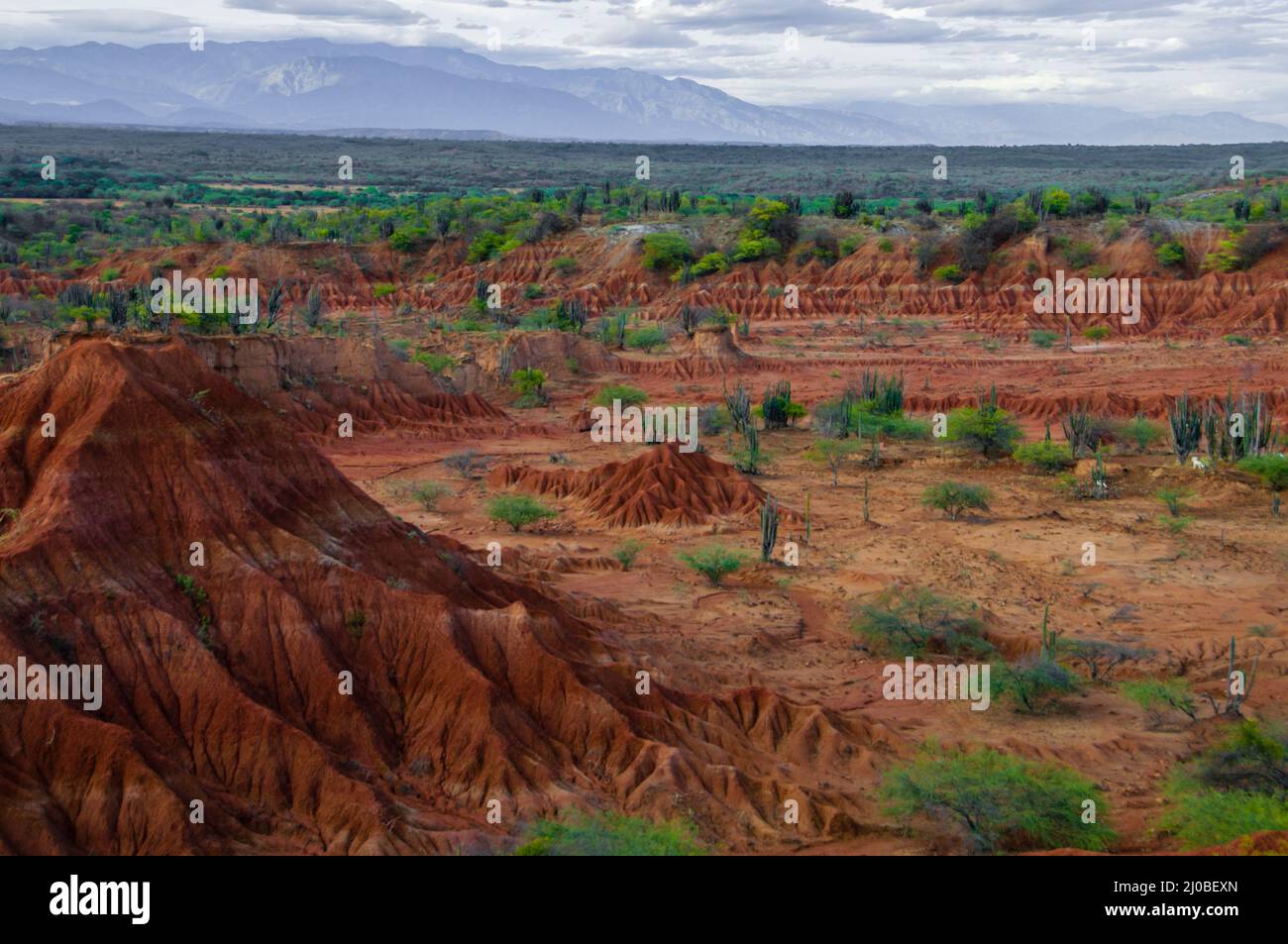 Grande di sabbia rossa collina in pietra a secco di caldo deserto tatacoa con piante, huila Foto Stock