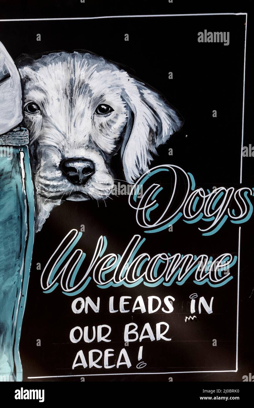 Inghilterra, Dorset, Wimborne, divertente Dogs Welcome Pub Sign Foto Stock