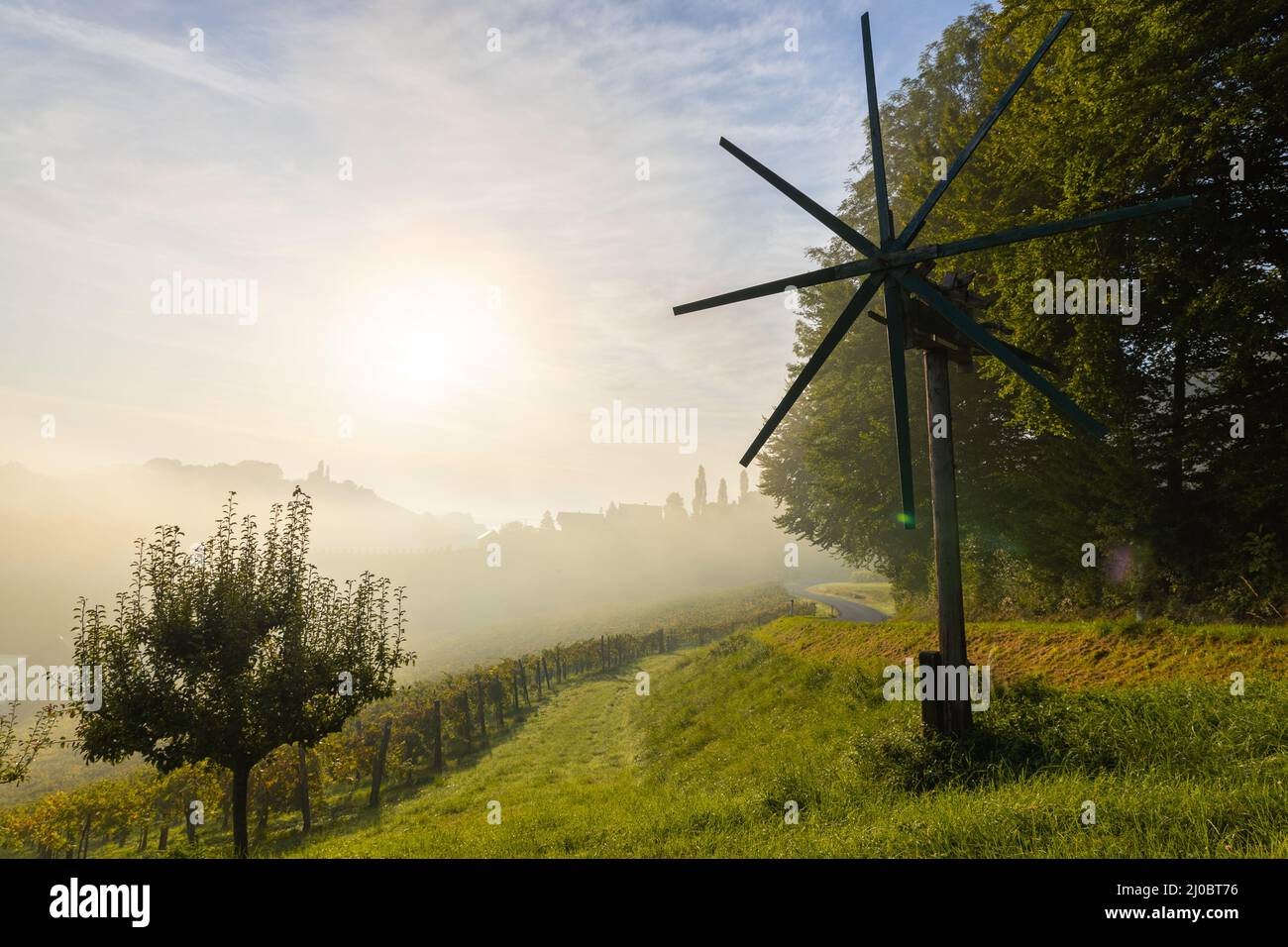 Weinstraße, strada del vino, Leibnitz, stiria, tramonto, Dietro, Suedsteiermark, Klapotetz, mela, alberi, Uva, colline, vino, uva, Graßnitzberg, Grassnit Foto Stock