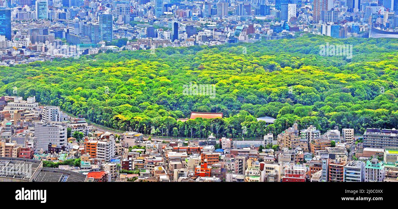 Vista aerea sul parco di Yoyogi, Shibuya , Tokyo Japan Foto Stock