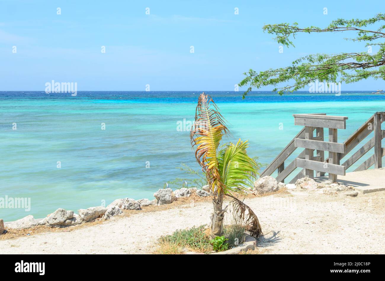 La magnifica vista del Mangel Halto beach ad Aruba Foto Stock