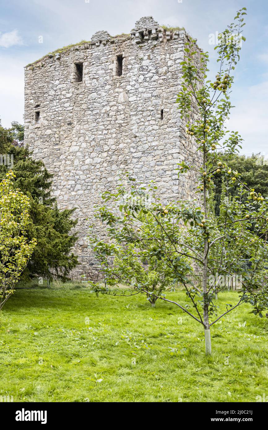 Drumin Castle, una torre in rovina vicino a Glenlivet, Moray, Scozia Regno Unito. Foto Stock