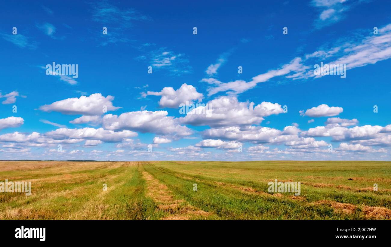 Le colorate nuvole di cumulo in un cielo blu luminoso su un campo appena macinato che si estende oltre l'orizzonte. Sfondo luminoso Foto Stock