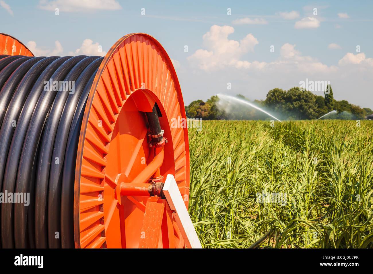 Irrigatore su terreni agricoli durante la grave siccità nei Paesi Bassi Foto Stock