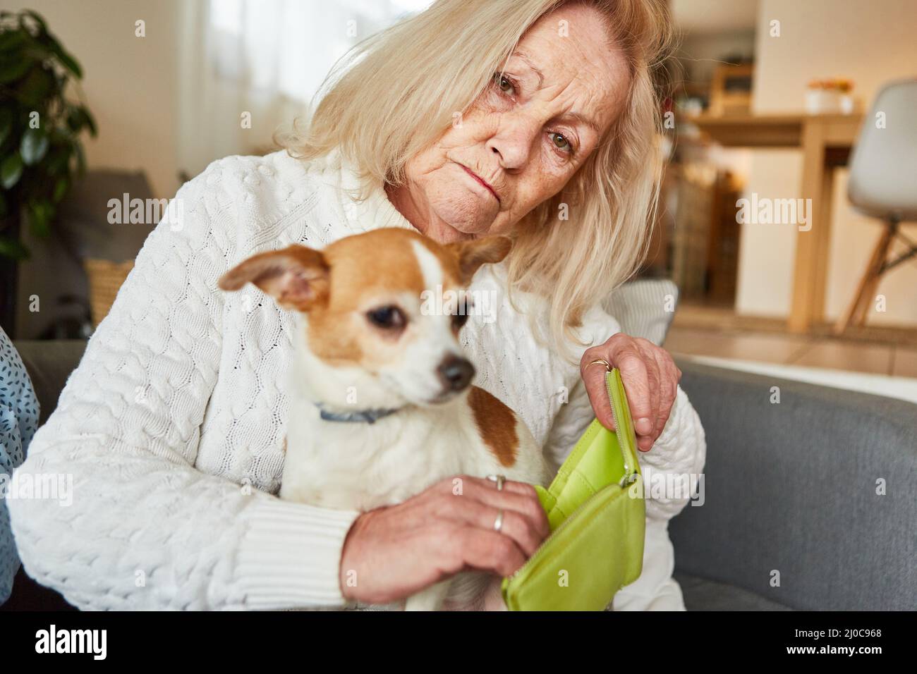 Donna anziana triste con cane piccolo che mostra il suo portafoglio vuoto come un concetto di povertà in vecchiaia Foto Stock