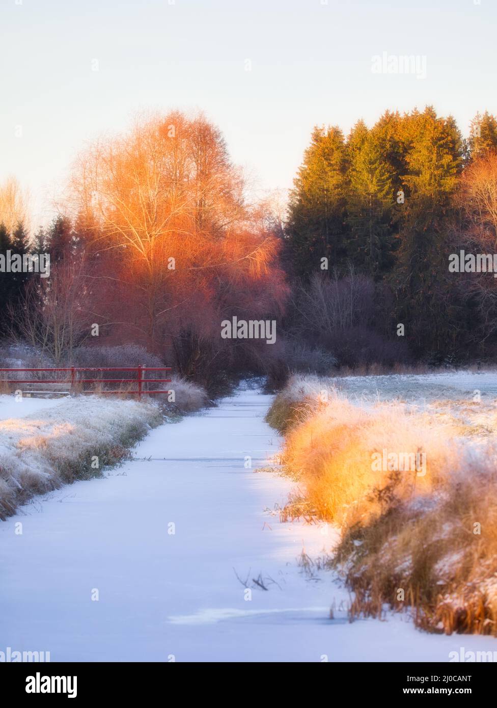 Ruscello ghiacciato coperto di neve e alberi di foresta colorati, Upplands Vasby, Stoccolma, Svezia. Concetto di solitudine, isolamento Foto Stock
