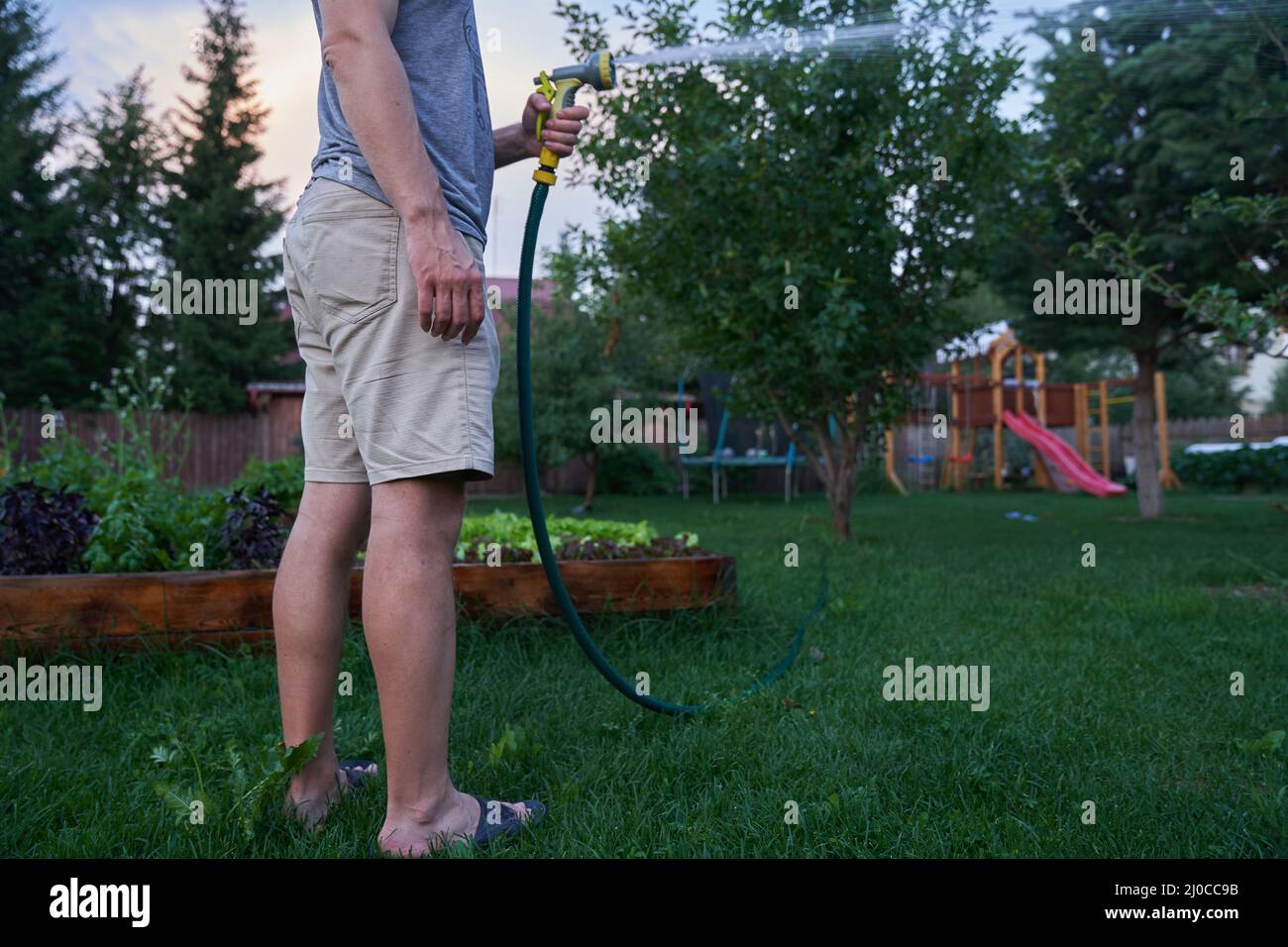 Spruzzatura a getto d'acqua alla luce del giorno. Un uomo coltiva piante all'aperto nel giardino. Giardinaggio e hobby concetto. Foto di alta qualità Foto Stock