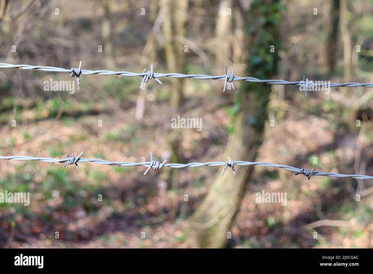 Tenere fuori della campagna, spinato filo recinzione in campagna Foto Stock
