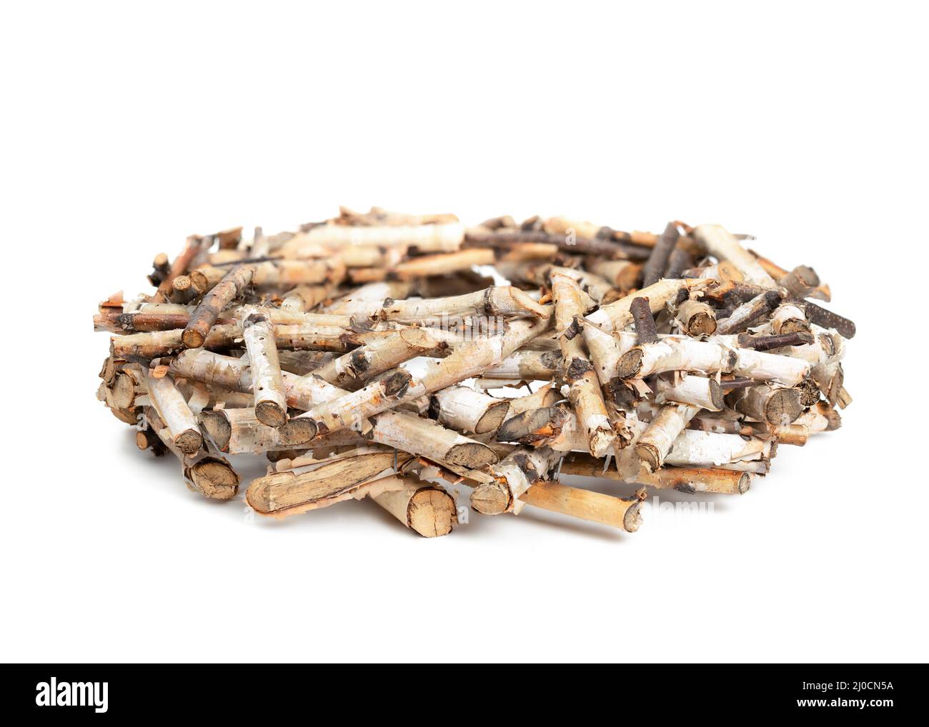 Vera corona di betulla. Rami di betulla disposti in un grande nido circolare. Decorazioni in legno naturale utilizzate per i pezzi del centro del tavolo o stagionali Foto Stock