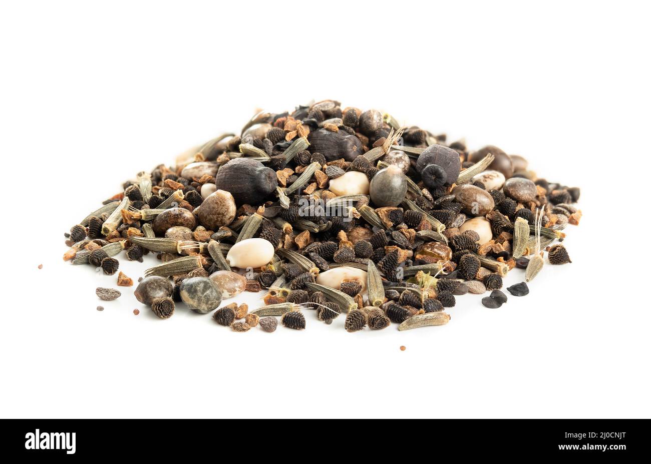 Wildflower seme miscela per attrarre hummingbirds in giardino. Macro di 12 specie di fiori selvatici come: Four o'Clocks, Gayfeather, Rocket Larkspur, Scarlet Foto Stock