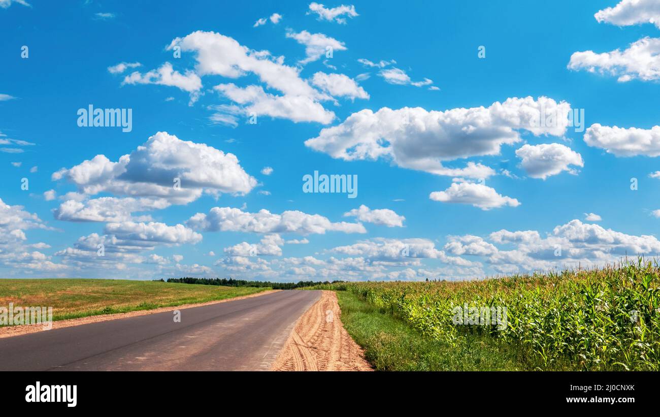campo, orizzonte, natura, strada, paesaggio, cielo, paese, mais, rurale, campagna, fattoria, agricoltura, estate, terreno agricolo, erba, prato, nuvola, blu, verde Foto Stock