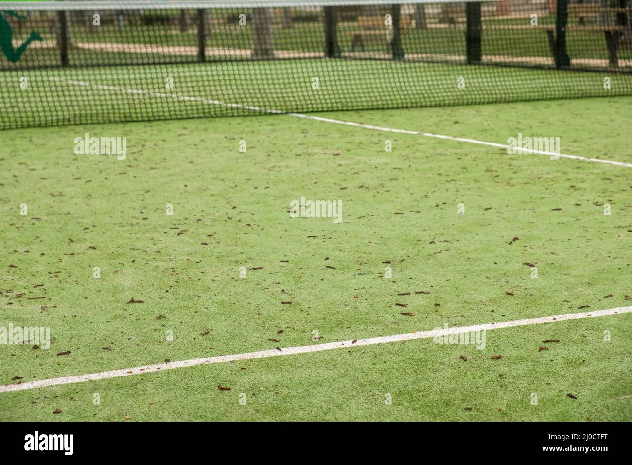 campo da paddle tennis verde, erba sintetica Foto Stock